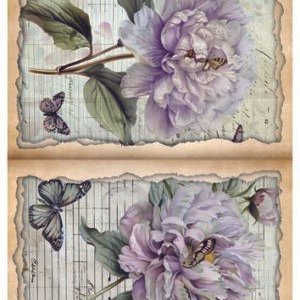 RE-CREATE SERIES RICE PAPER