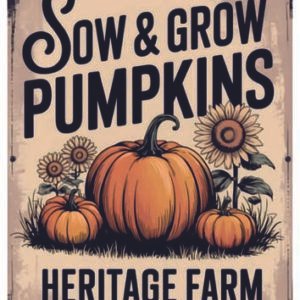 RE-CREATE SERIES RICE PAPER