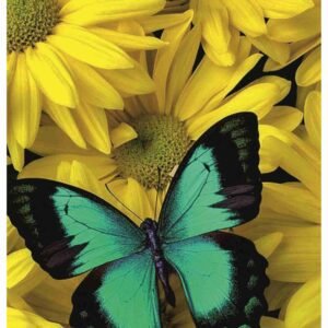 UNIQ RICE PAPER UPR-4469