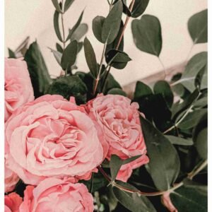 UNIQ RICE PAPER UPR-4633