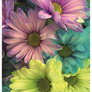 UNIQ RICE PAPER UPR-4656