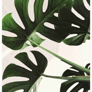 UNIQ RICE PAPER UPR-4679