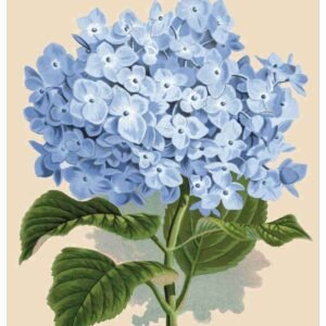 UNIQ RICE PAPER UPR-4739