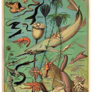 UNIQ RICE PAPER UPR-4859