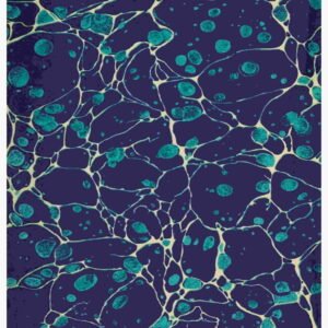 UNIQ RICE PAPER UPR-4947