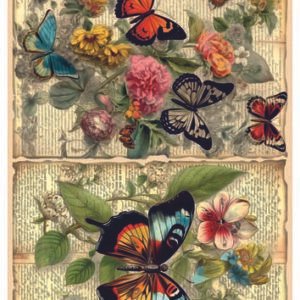 RE-CREATE SERIES RICE PAPER