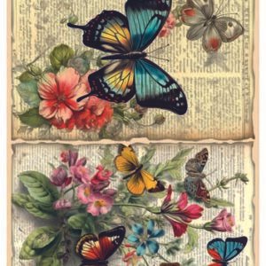 RE-CREATE SERIES RICE PAPER