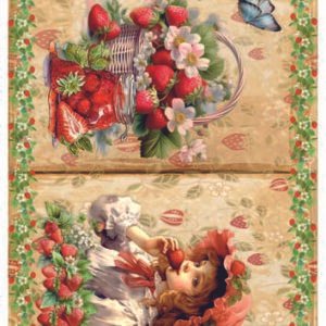 RE-CREATE SERIES RICE PAPER