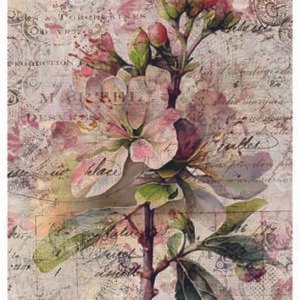 RE-CREATE SERIES RICE PAPER