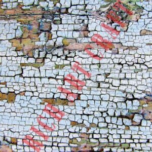 DECOUPAGE PAPER 9495