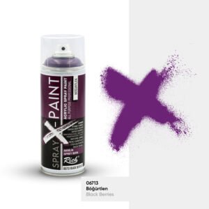 SPRAY X PAINT 400 ML BLACKBERRY