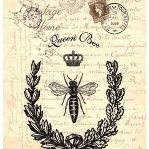 STICKY RICE PAPER 2023