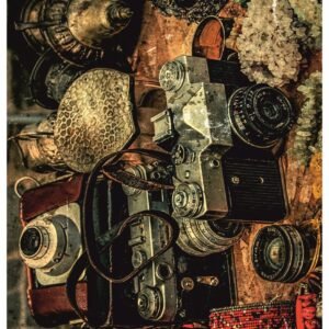 STICKY RICE PAPER 2116