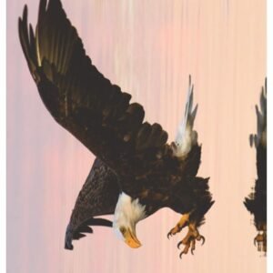 STICKY RICE PAPER 2332