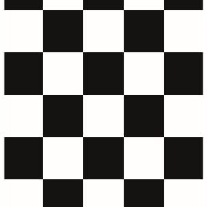 STICKY RICE PAPER 2368