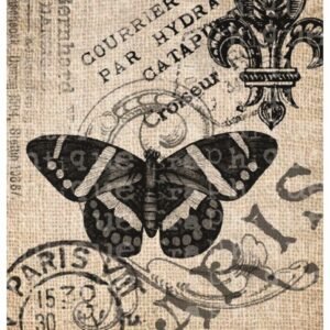 STICKY RICE PAPER 2383