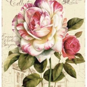 STICKY RICE PAPER 2520