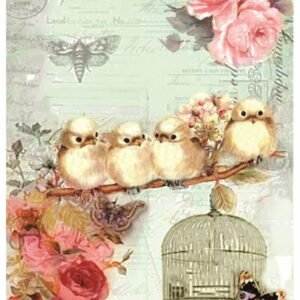 STICKY RICE PAPER 2600