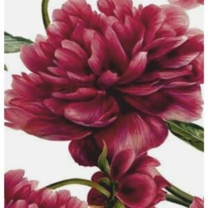 STICKY RICE PAPER 2742